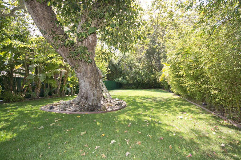 Mediterranean - ARCH6405