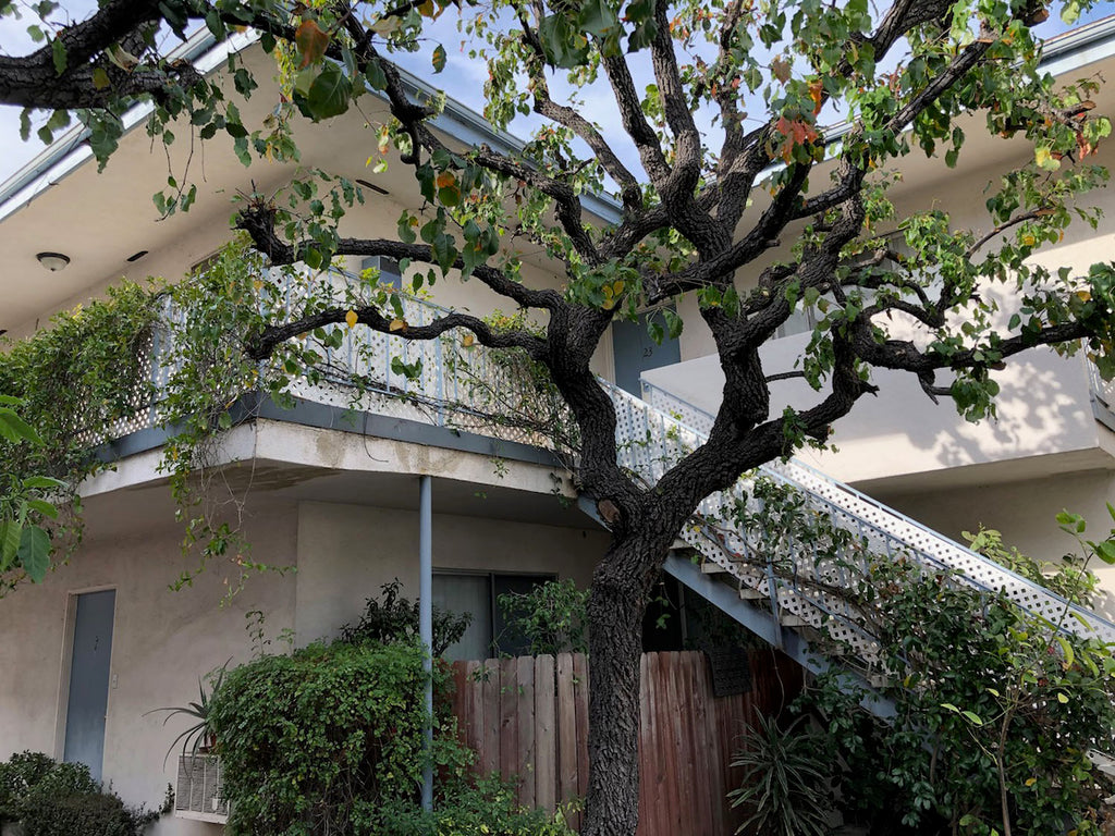 Apartments - APT2012