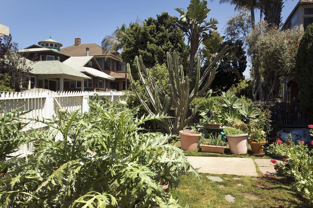 Victorian - ARCH2023