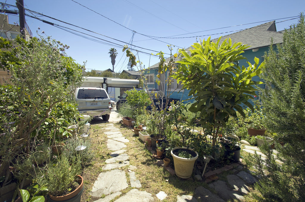 Victorian - ARCH2023