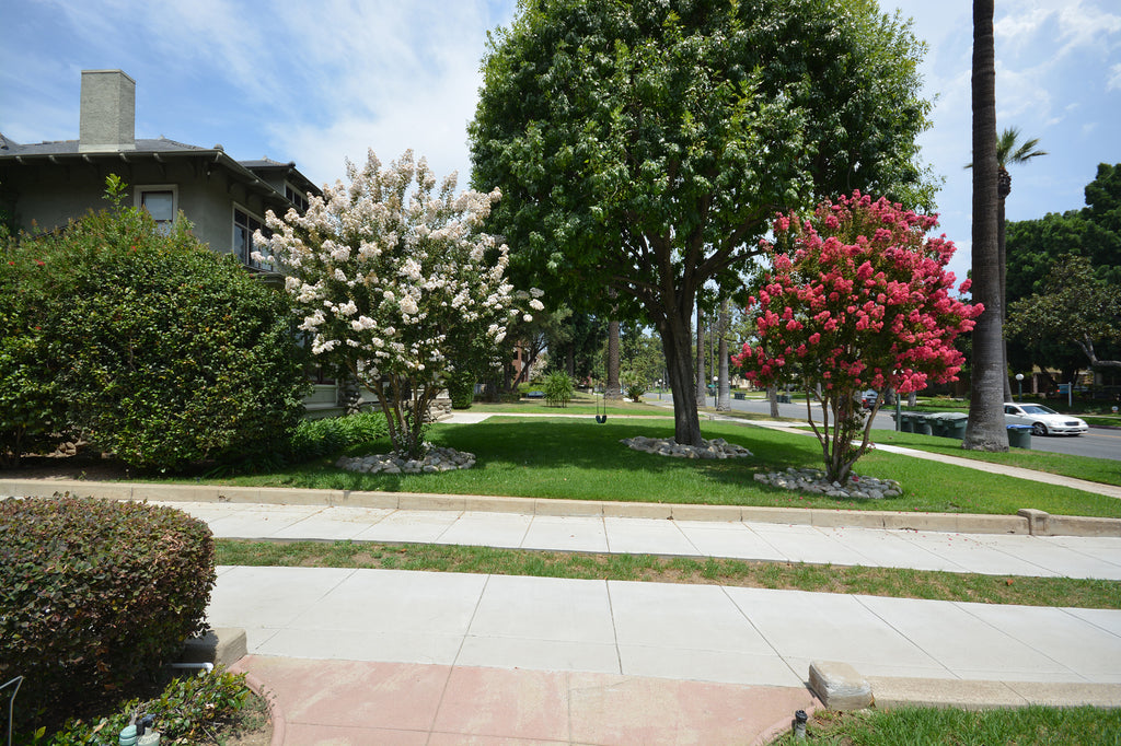 Victorian - ARCH2030