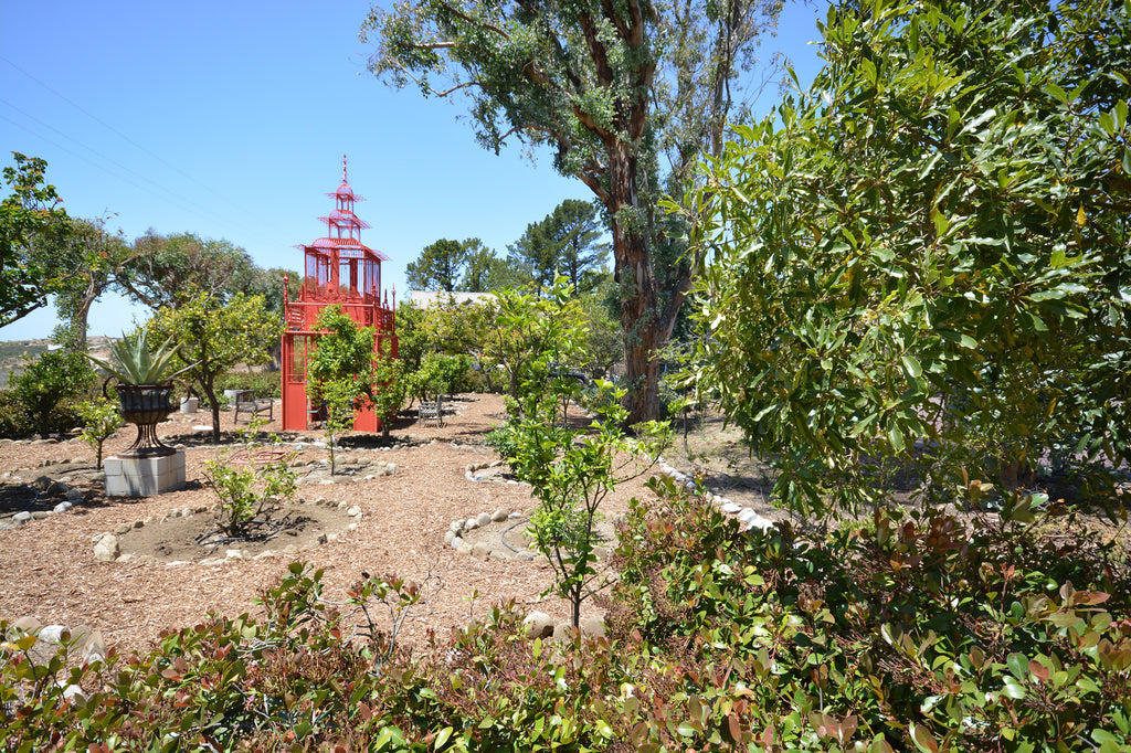 Ranch House - ARCH2032R