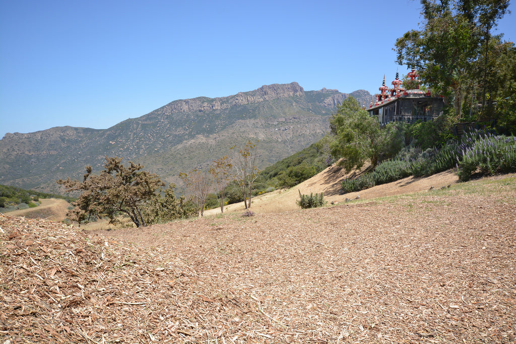 Ranch House - ARCH2032R