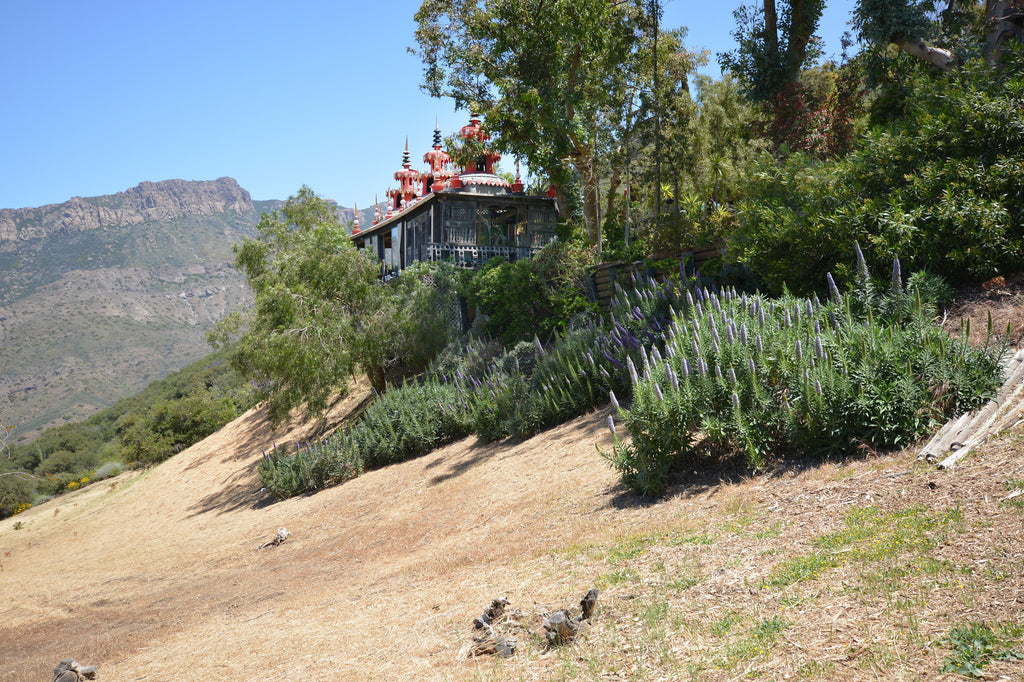 Ranch House - ARCH2032R