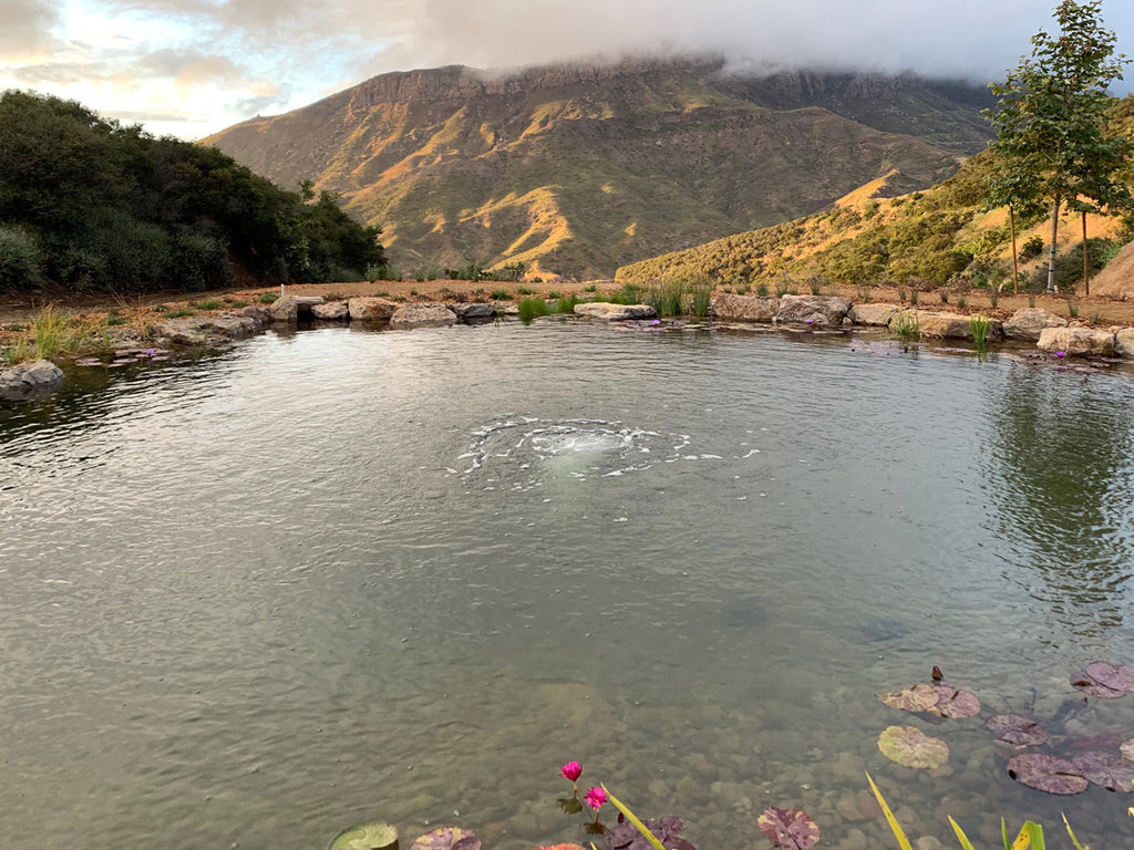 Ranch House - ARCH2032R