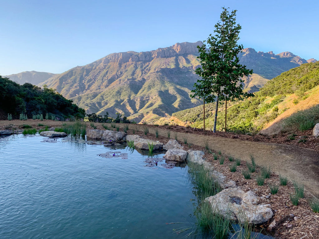 Ranch House - ARCH2032R