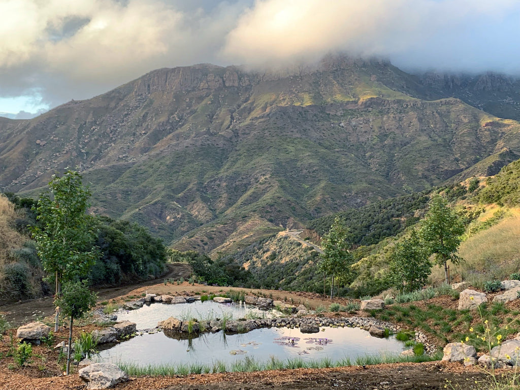 Ranch House - ARCH2032R