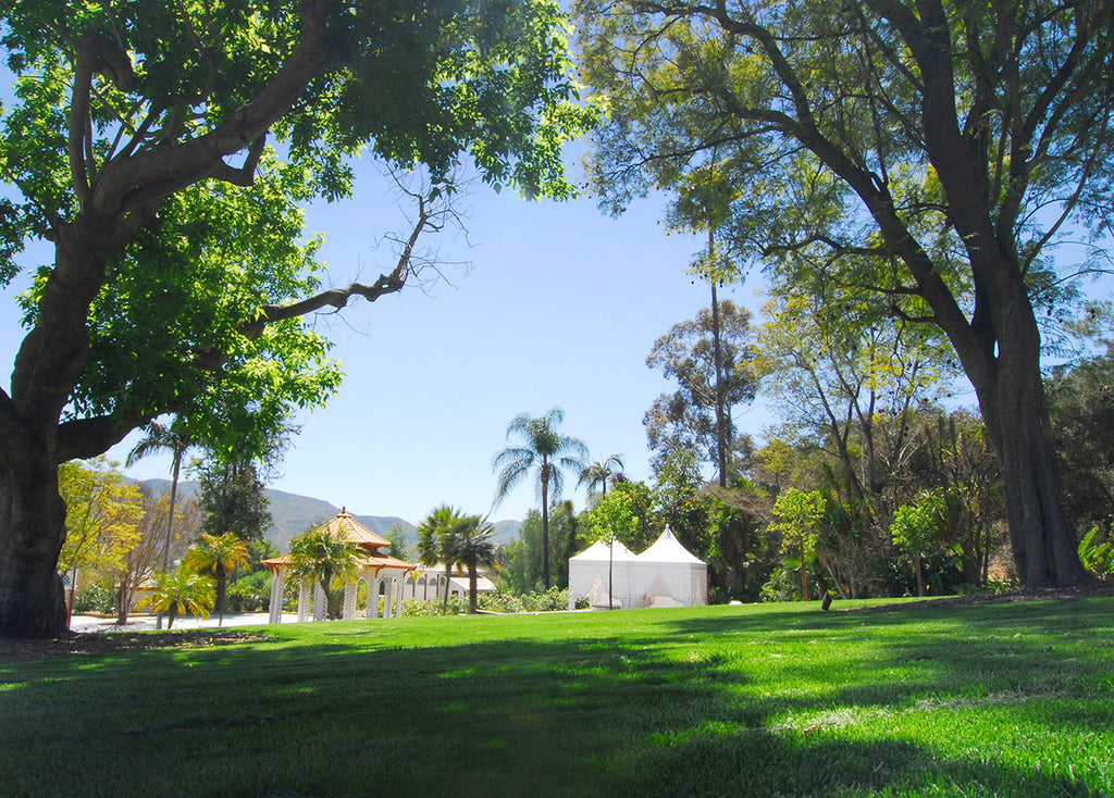 Victorian - ARCH2033