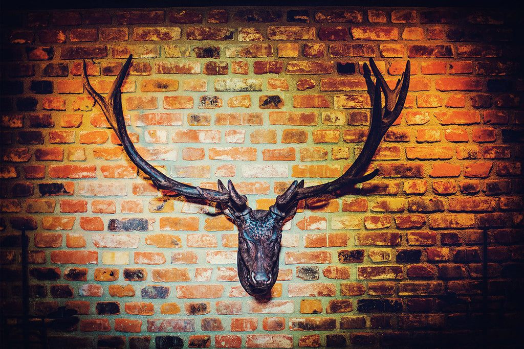 Victorian - ARCH2033