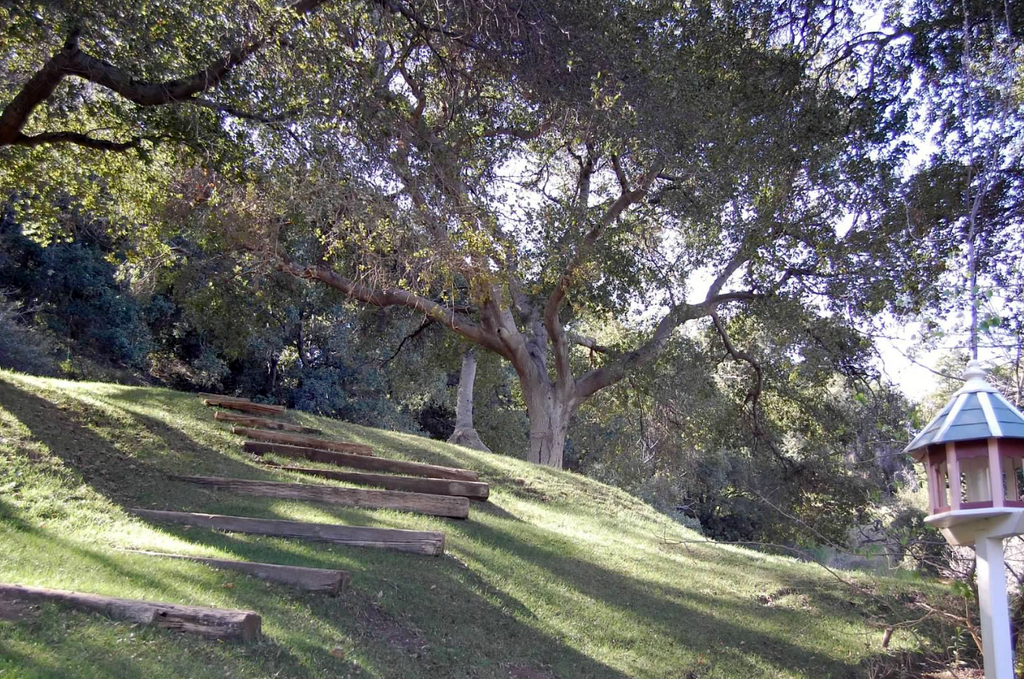 Victorian - ARCH2035