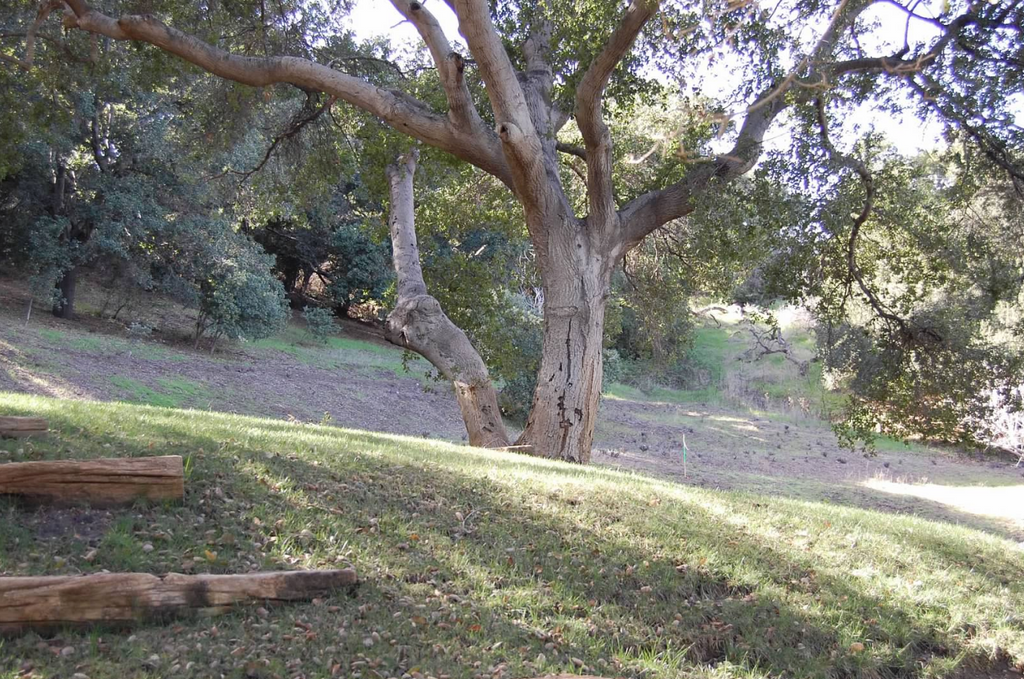 Victorian - ARCH2035