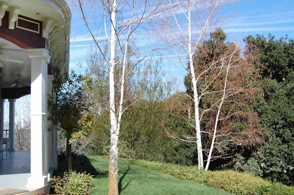 Victorian - ARCH2035