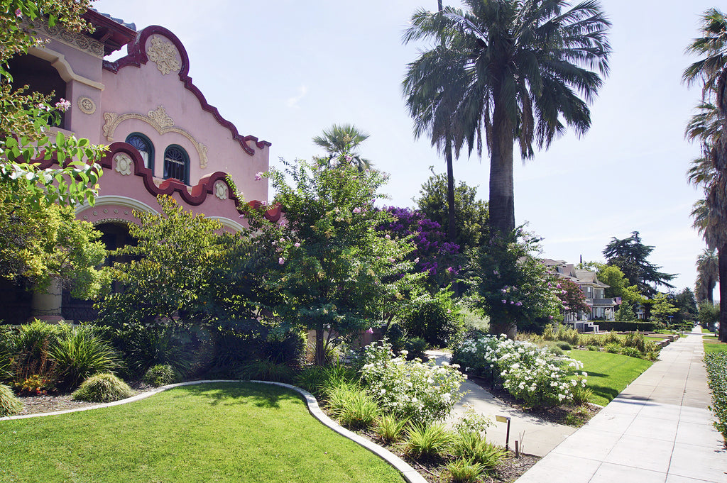 Mission Revival - ARCH2043