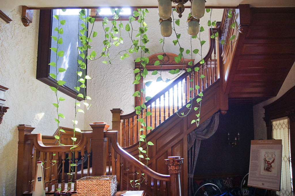 Mission Revival - ARCH2043