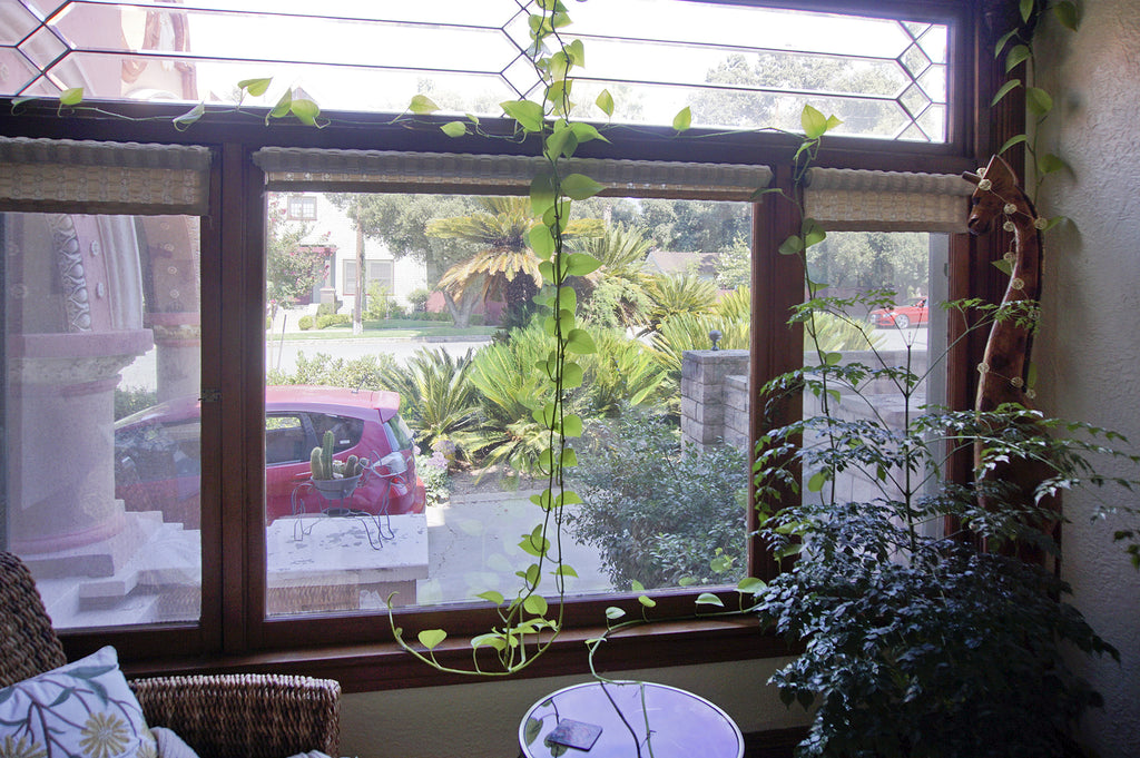 Mission Revival - ARCH2043