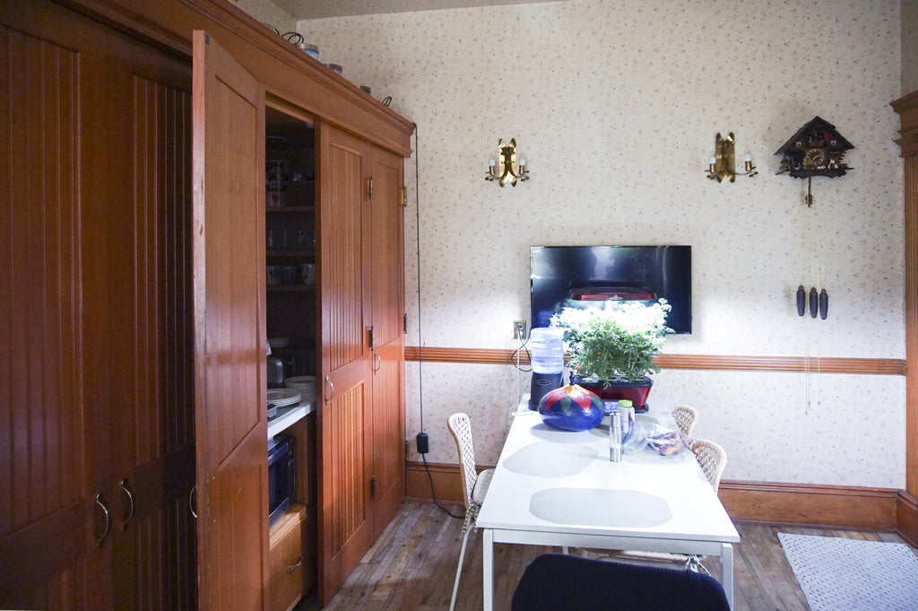 Mission Revival - ARCH2043