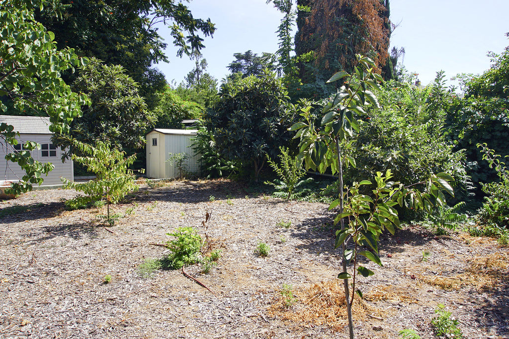 Mission Revival - ARCH2043