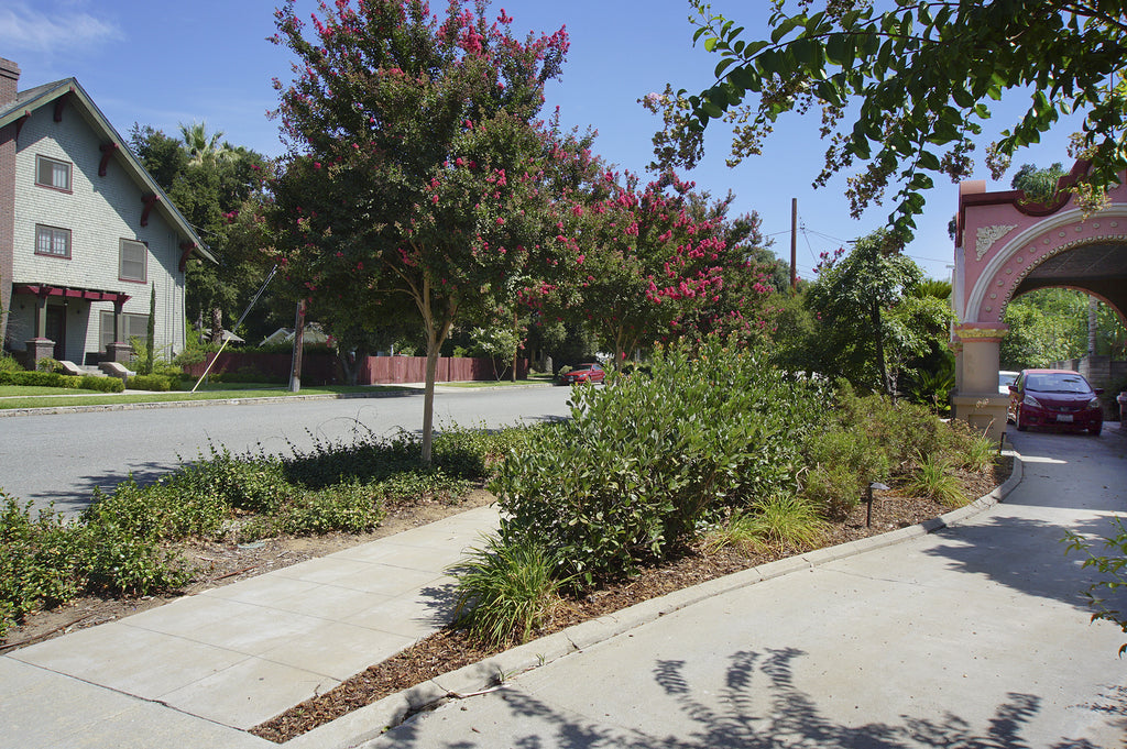 Mission Revival - ARCH2043