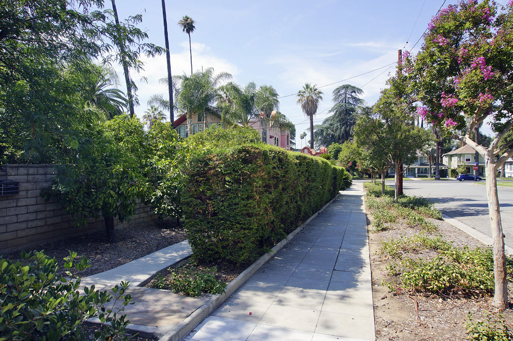 Mission Revival - ARCH2043