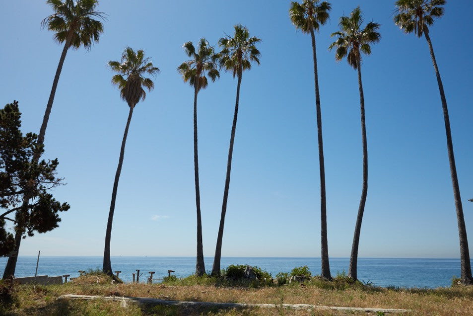 Beach House / Unbuilt - BH3056