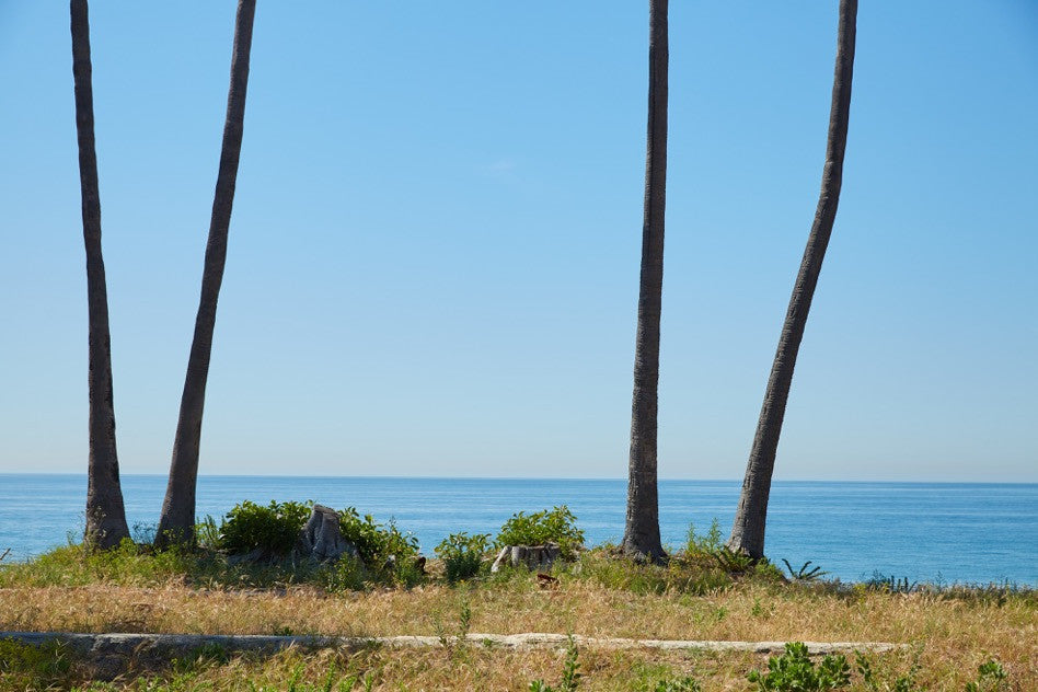 Beach House / Unbuilt - BH3056