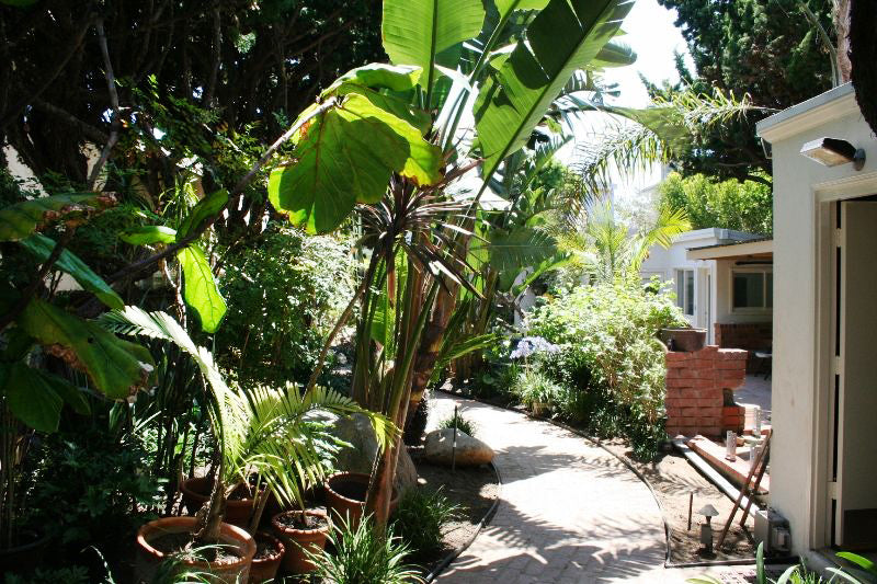 Beach House - BH3043