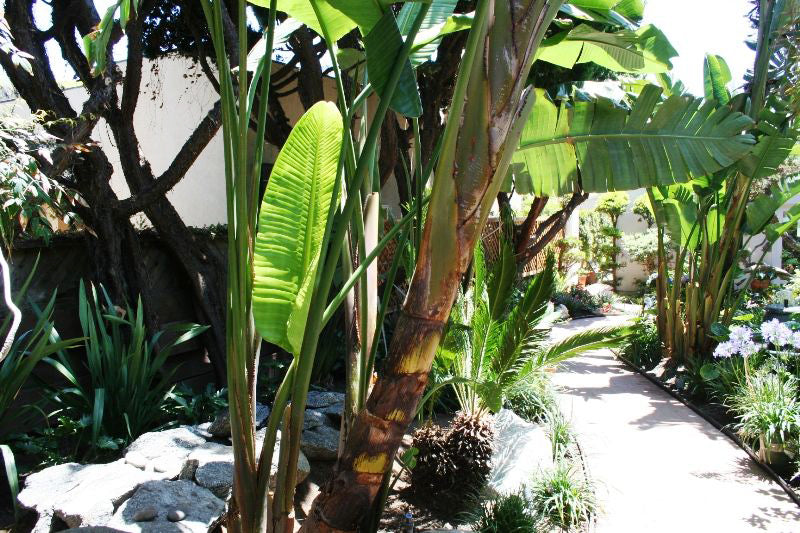 Beach House - BH3043