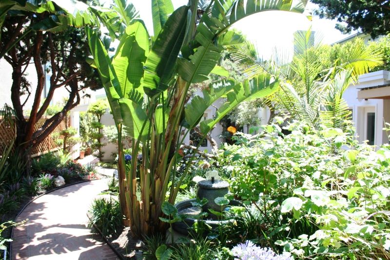 Beach House - BH3043