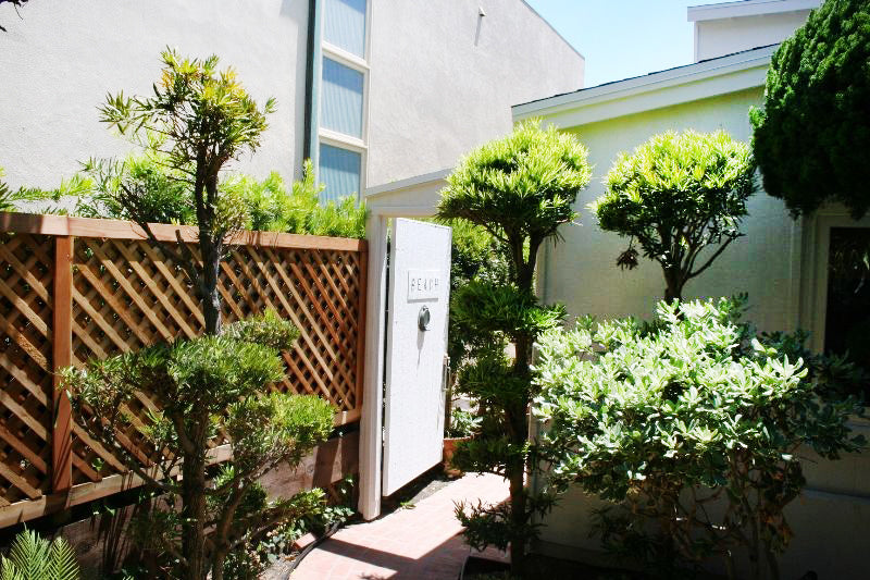 Beach House - BH3043