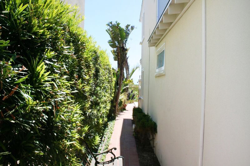 Beach House - BH3043