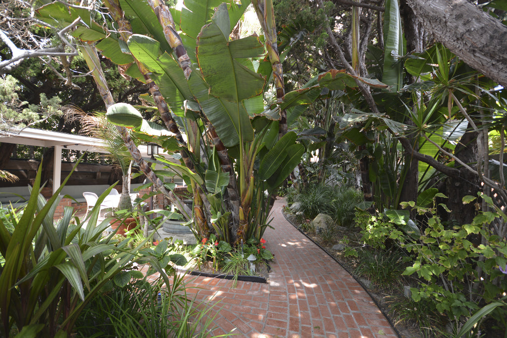 Beach House - BH3043