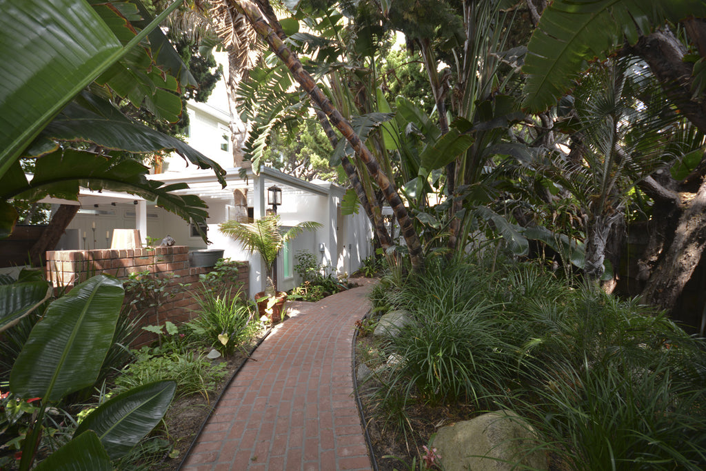 Beach House - BH3043