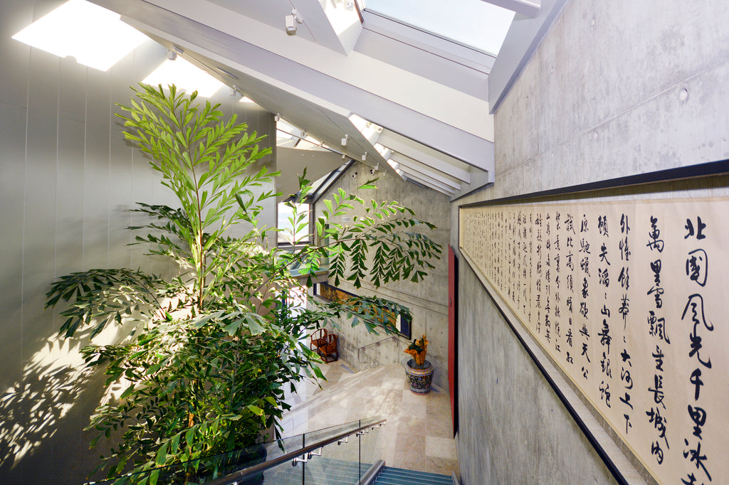 Beach House - BH3071