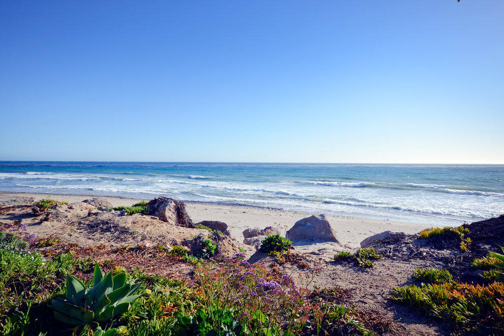 Beach House - BH3071