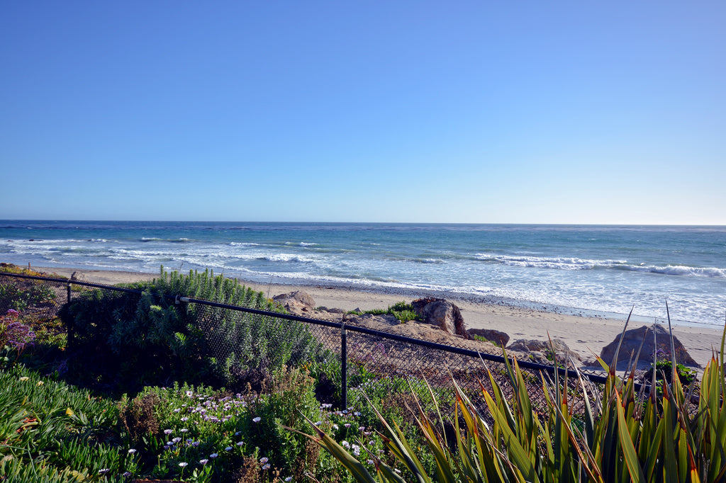 Beach House - BH3071