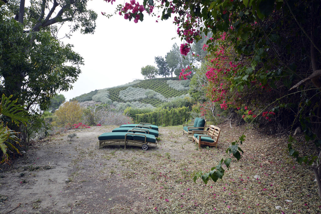 Beach house - BH3084