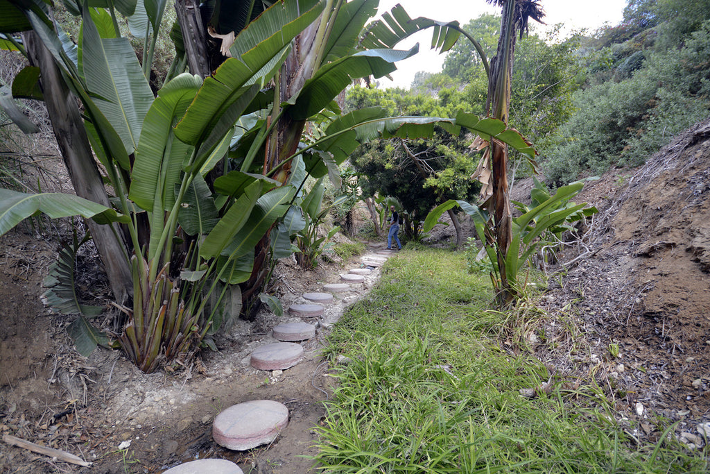 Beach house - BH3084