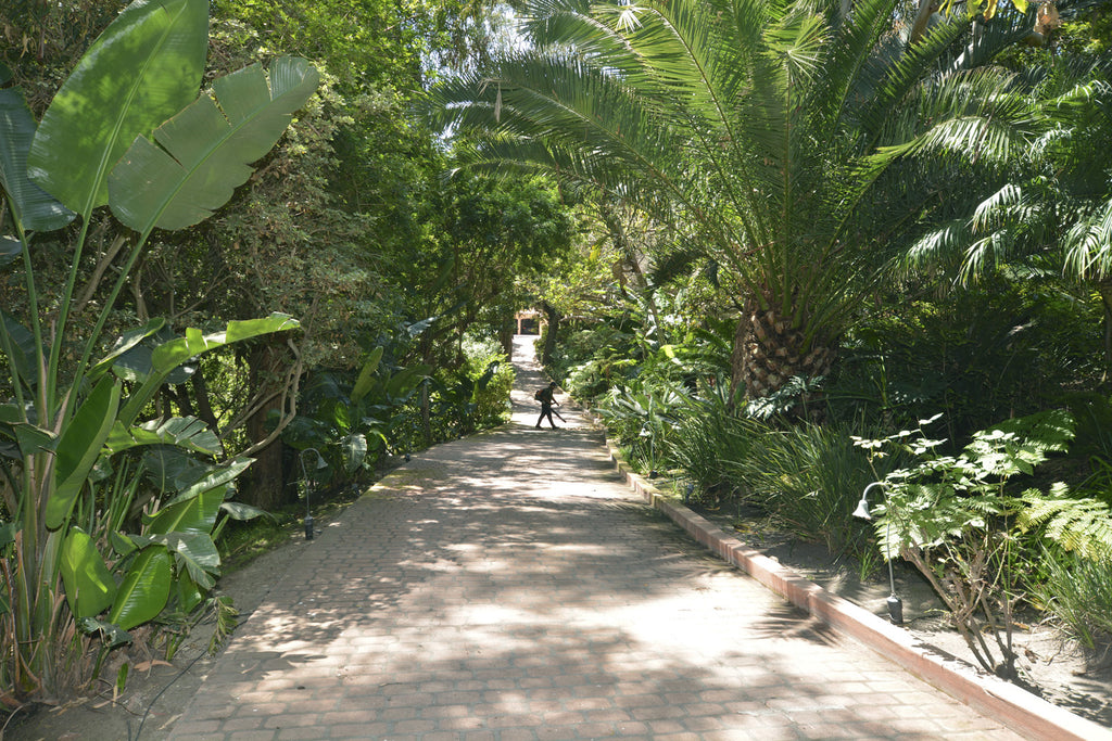 Beach house - BH3084