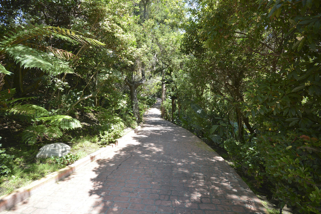 Beach house - BH3084