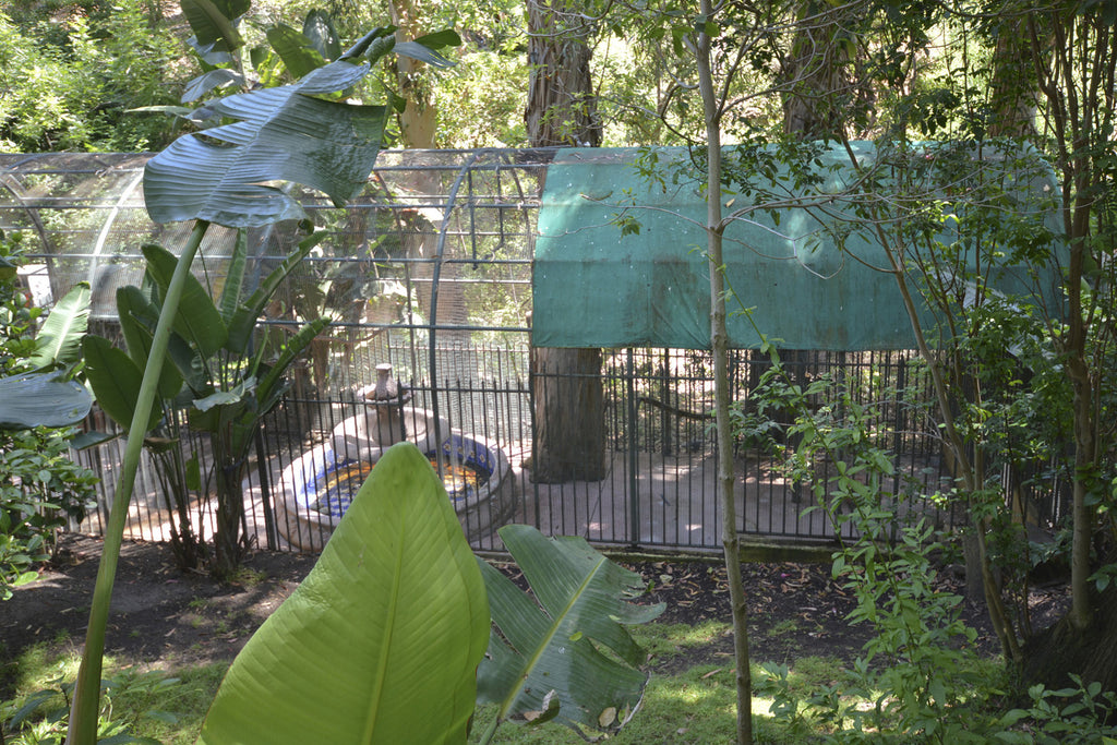 Beach house - BH3084