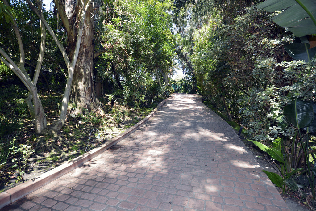 Beach house - BH3084