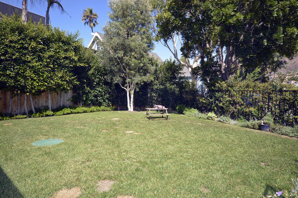 Beach House - BH3090