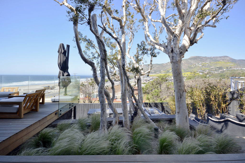 Beach House - BH3091