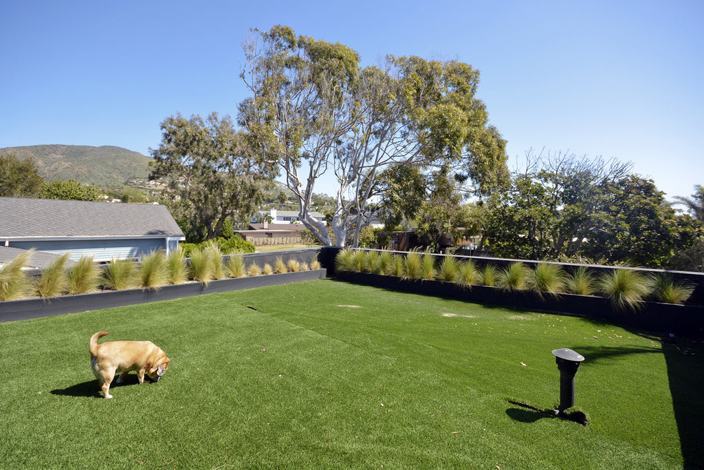 Beach House - BH3091