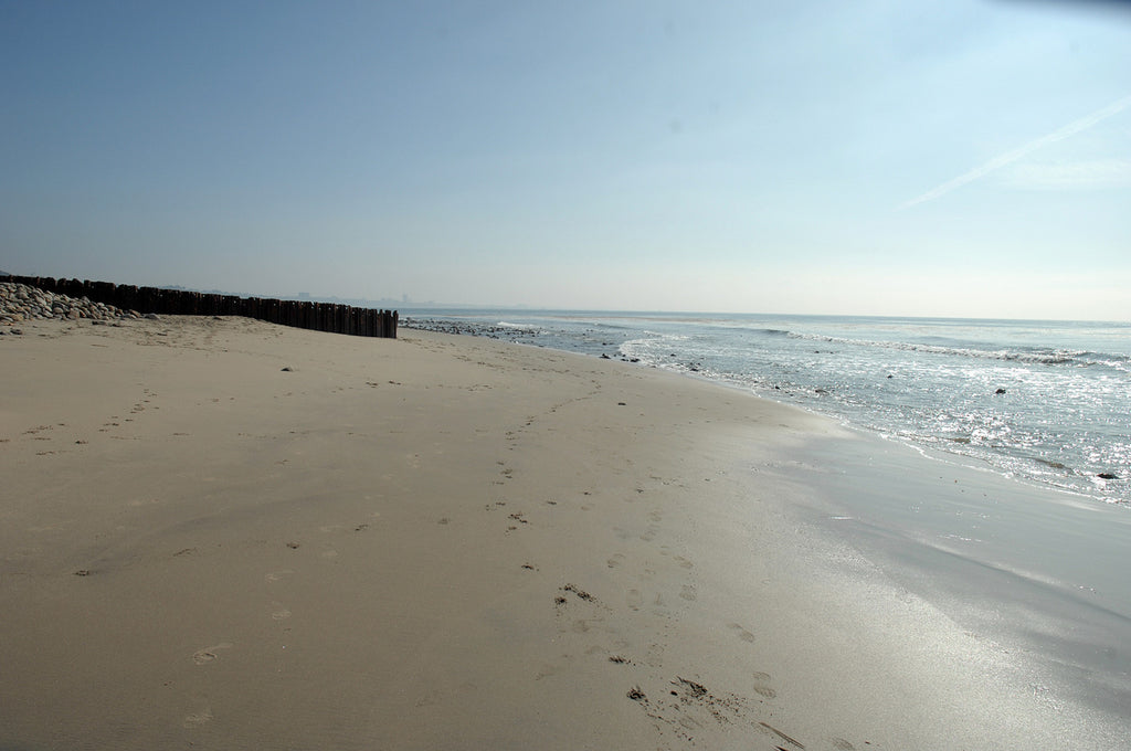 Beach House - BH18814