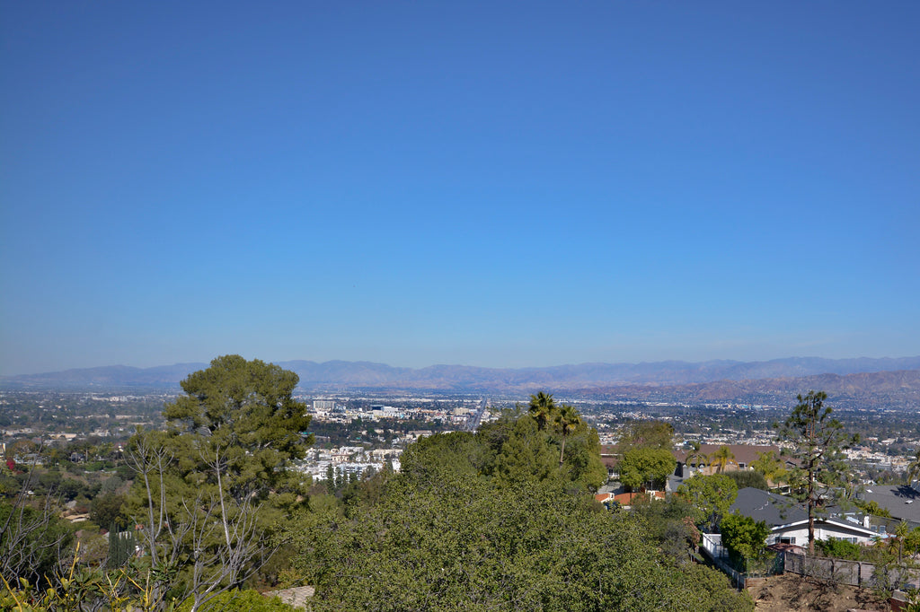 Mid Century - MID2029