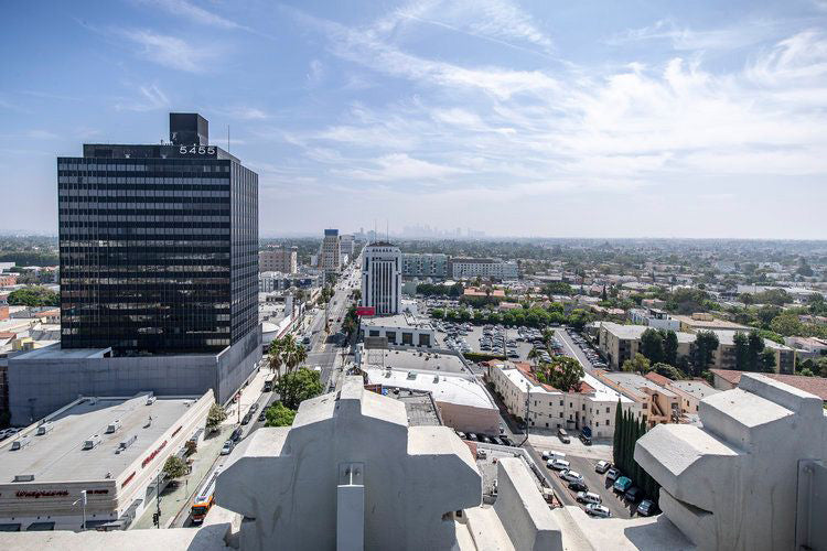 Lofts & Storefront- COMM2052