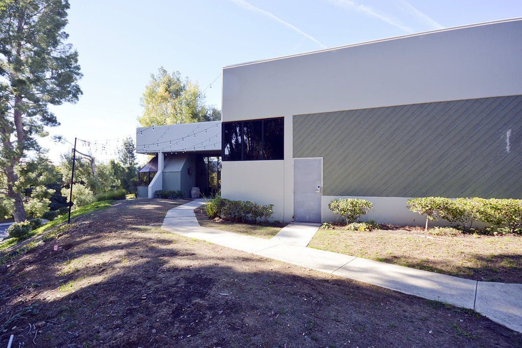 Film Stage - COMM2064