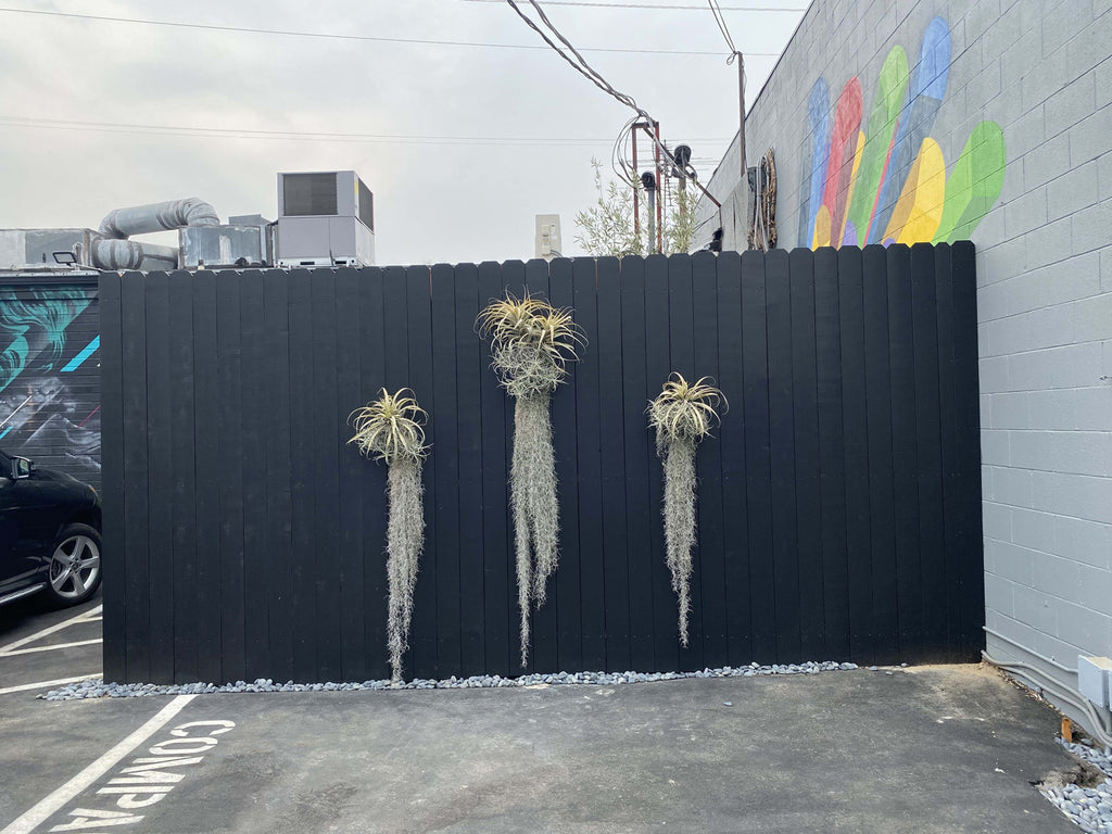 COMM2070 - Recording Studio / Restaurant