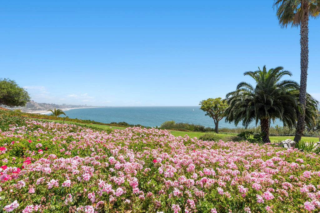 COMM2075 - Apartment exterior grounds